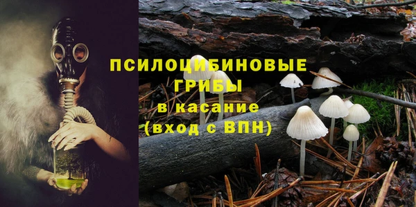 apvp Осинники