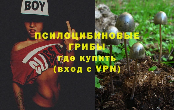 jwh Нея