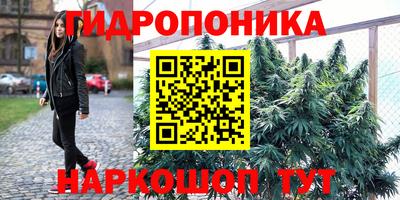 гашик Апрелевка