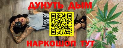 крисы Аргун