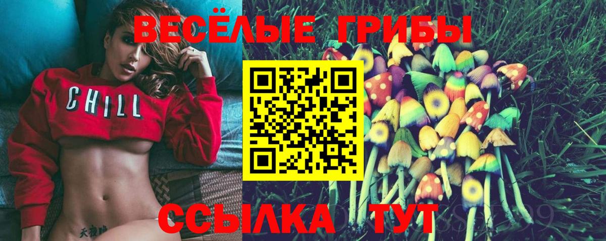 Псилоцибиновые грибы GOLDEN TEACHER Нижний Новгород