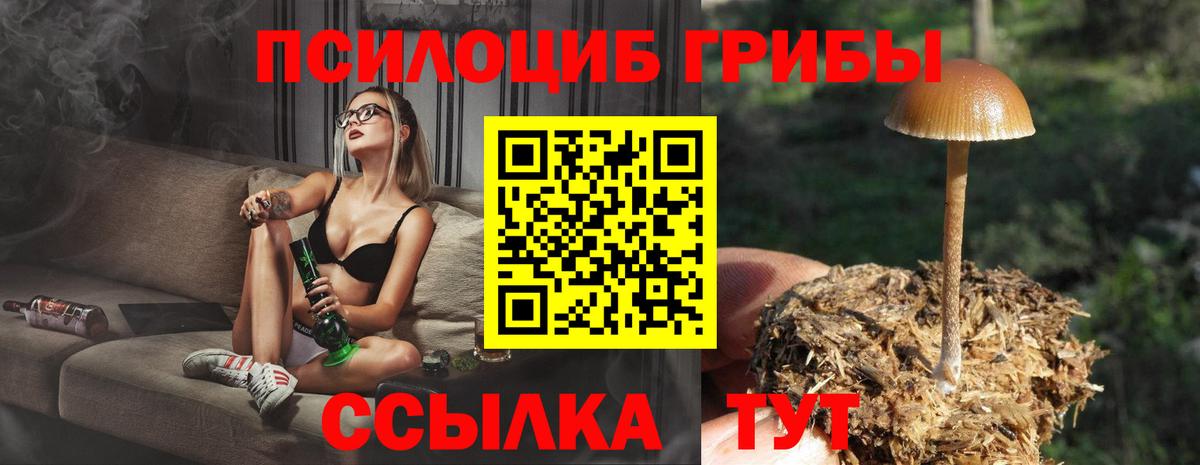Галлюциногенные грибы MAGIC MUSHROOMS  Вход с VPN  Нижний Новгород 